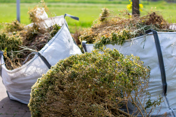 Best Estate Cleanout  in Aquebogue, NY